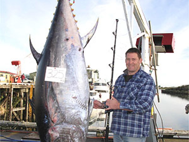 World record tuna