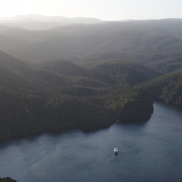 Southern Stewart Island