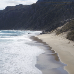 Northern Stewart Island 3