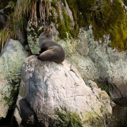 ernthan TinyAtlas E9A5012