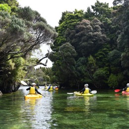 Dusky Sound 10 Loretta Muller