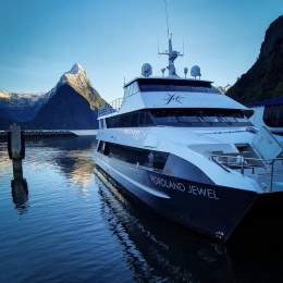 Screen Shot 2022 06 14 at 1.27.33 PM