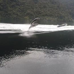 UNADJUSTEDNONRAW thumb 5b